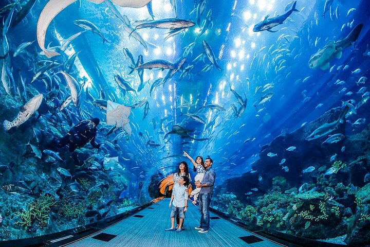 Experience the thrill of exploring the underwater world while surrounded by remarkable marine life and then take in stunning views from the iconic Burj Khalifa's 124th floor.